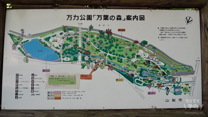 【万力公園】令和で話題の山梨の公園！川遊び・BBQ・アライグマやカピバラ、ホタルにも会える！