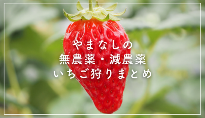 クーポンあり 山梨県の無農薬 減農薬いちご狩りスポットおすすめ8選 てくてく甲府