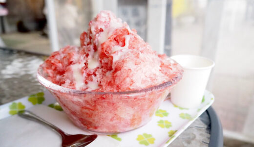 【土方洋蘭いちご園】オープンカフェで味わう果物まるごとかき氷