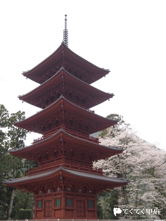 身延山久遠寺の美しいしだれ桜と五重塔